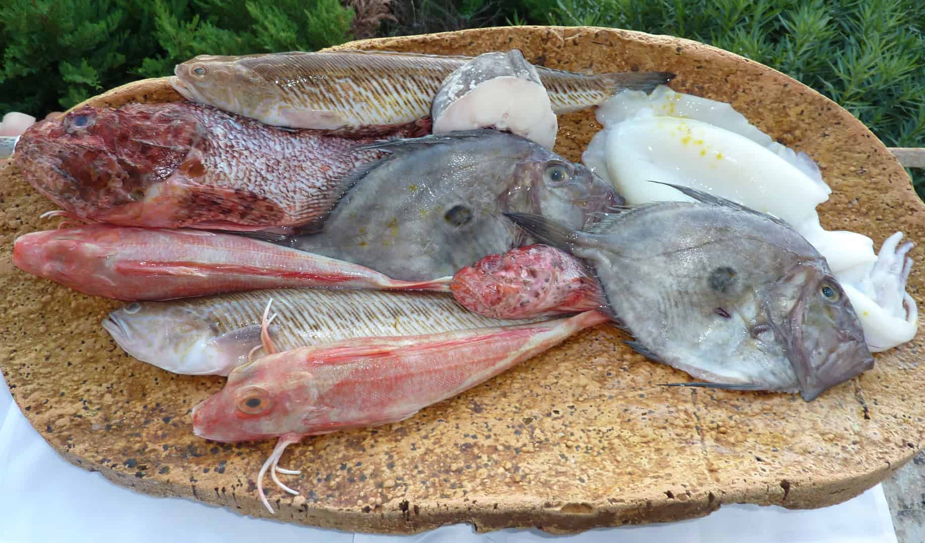 Bouillabaisse Rayol