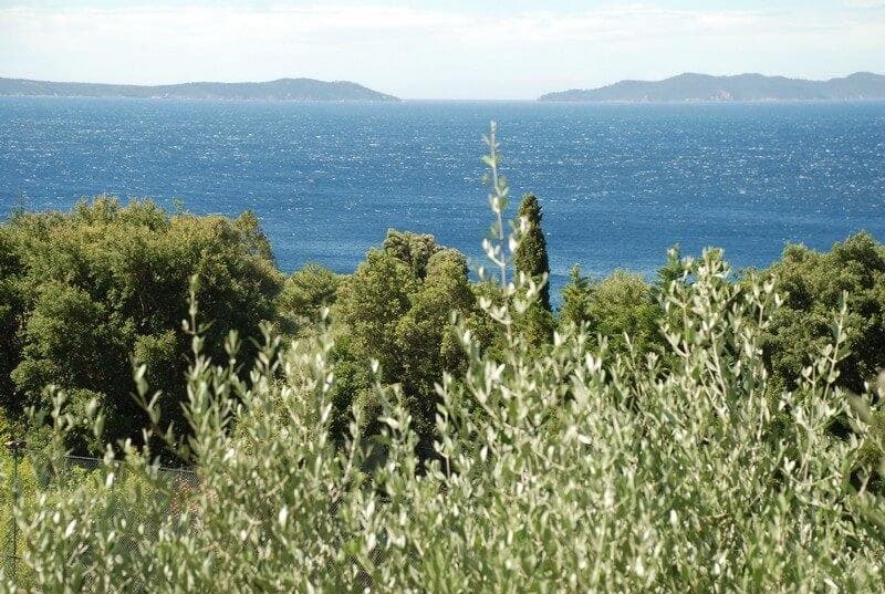 la vue du maurin des maures