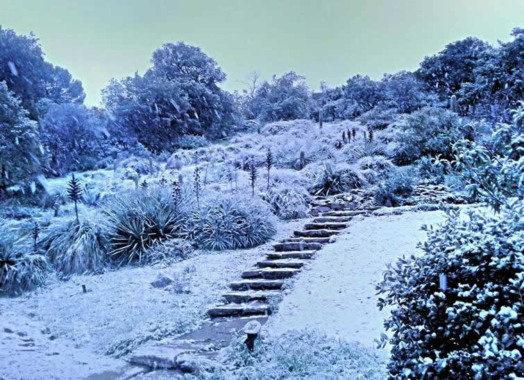 de la neige au rayol canadel