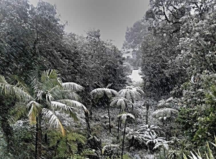 de la neige au rayol canadel